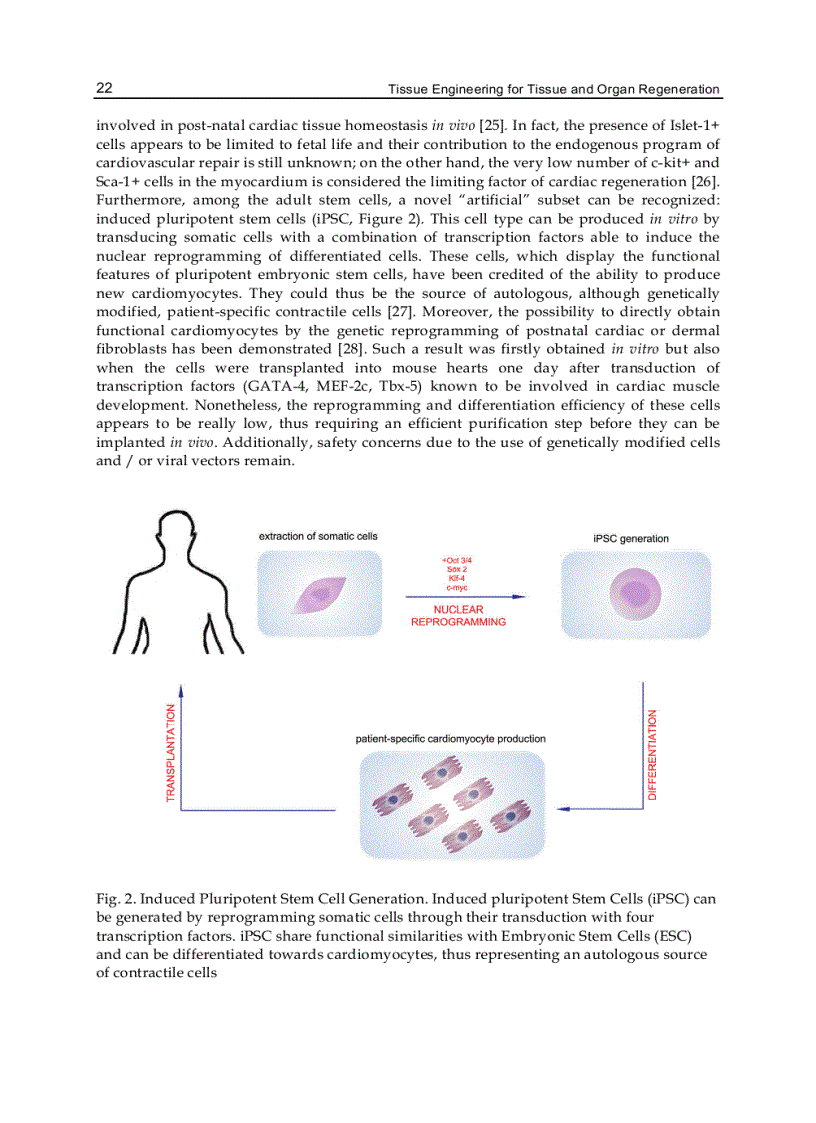 image for page Tissue Engineering for Tissue and Organ Regeneration