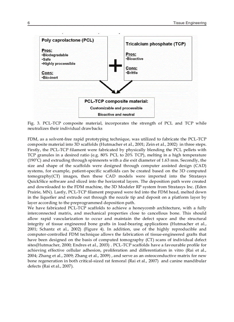 image for page Tissue Engineering
