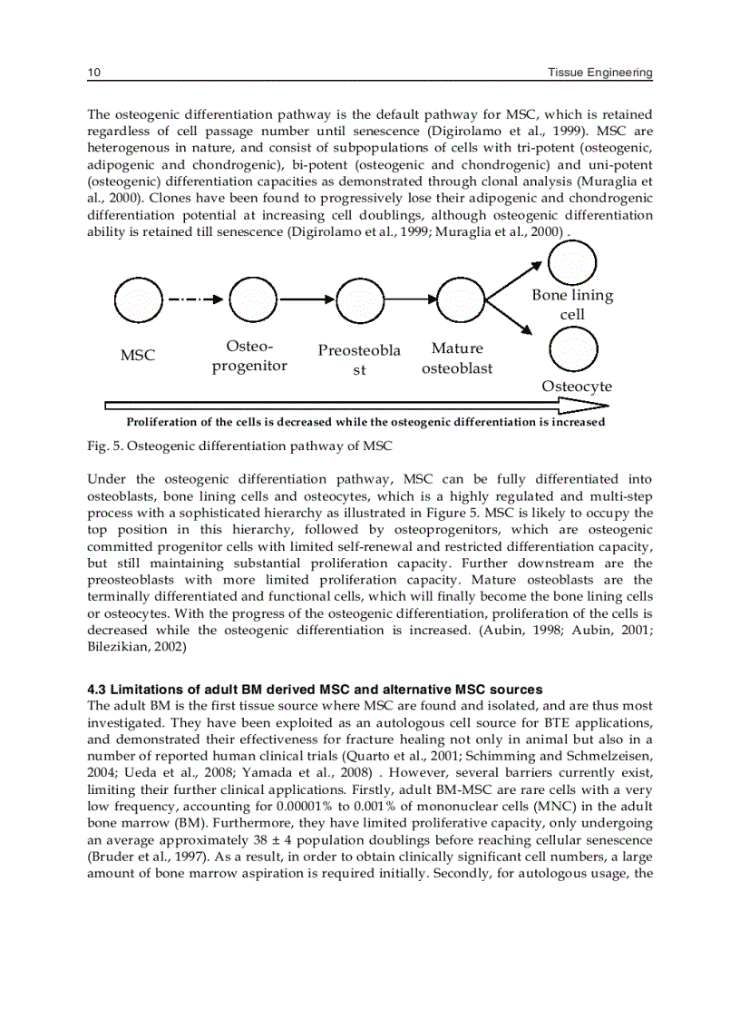 image for page Tissue Engineering