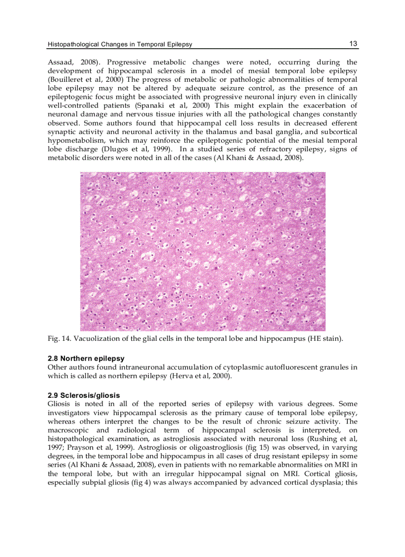 image for page Underlying Mechanisms of Epilepsy
