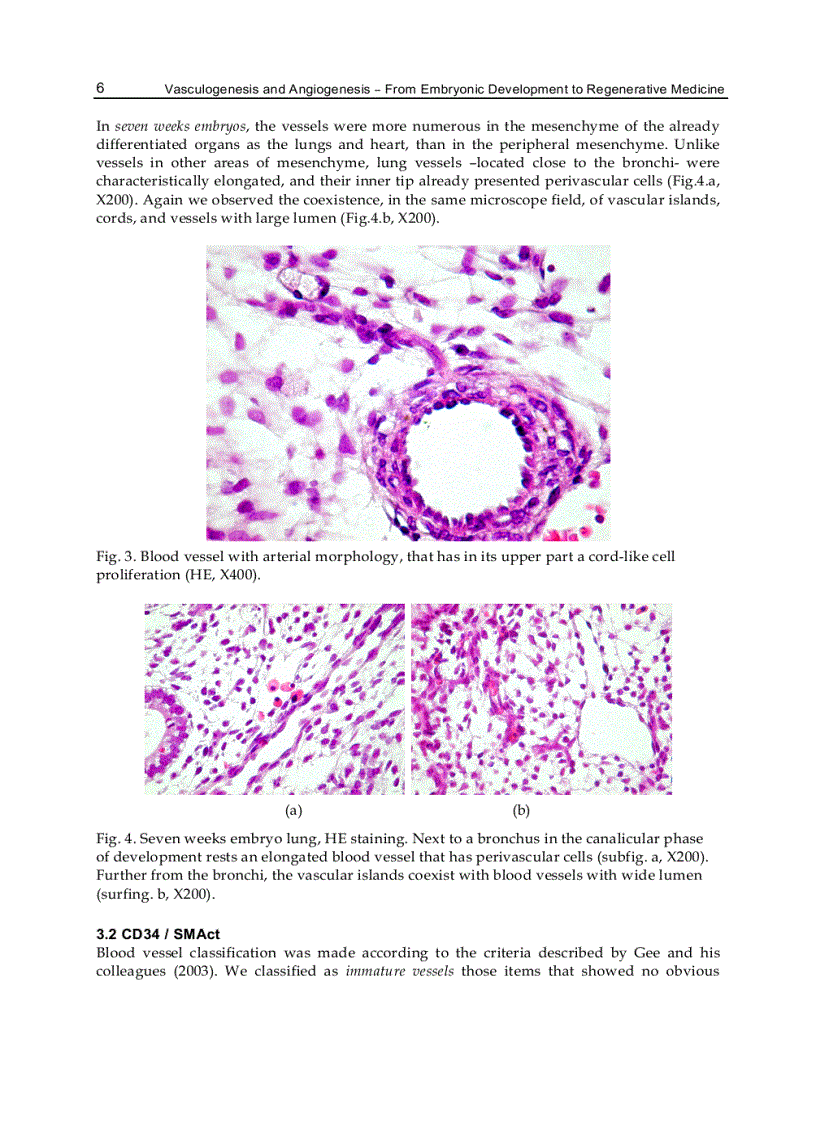 image for page Vasculogenesis and Angiogenesis from Embryonic Development to Regenerative Medicine
