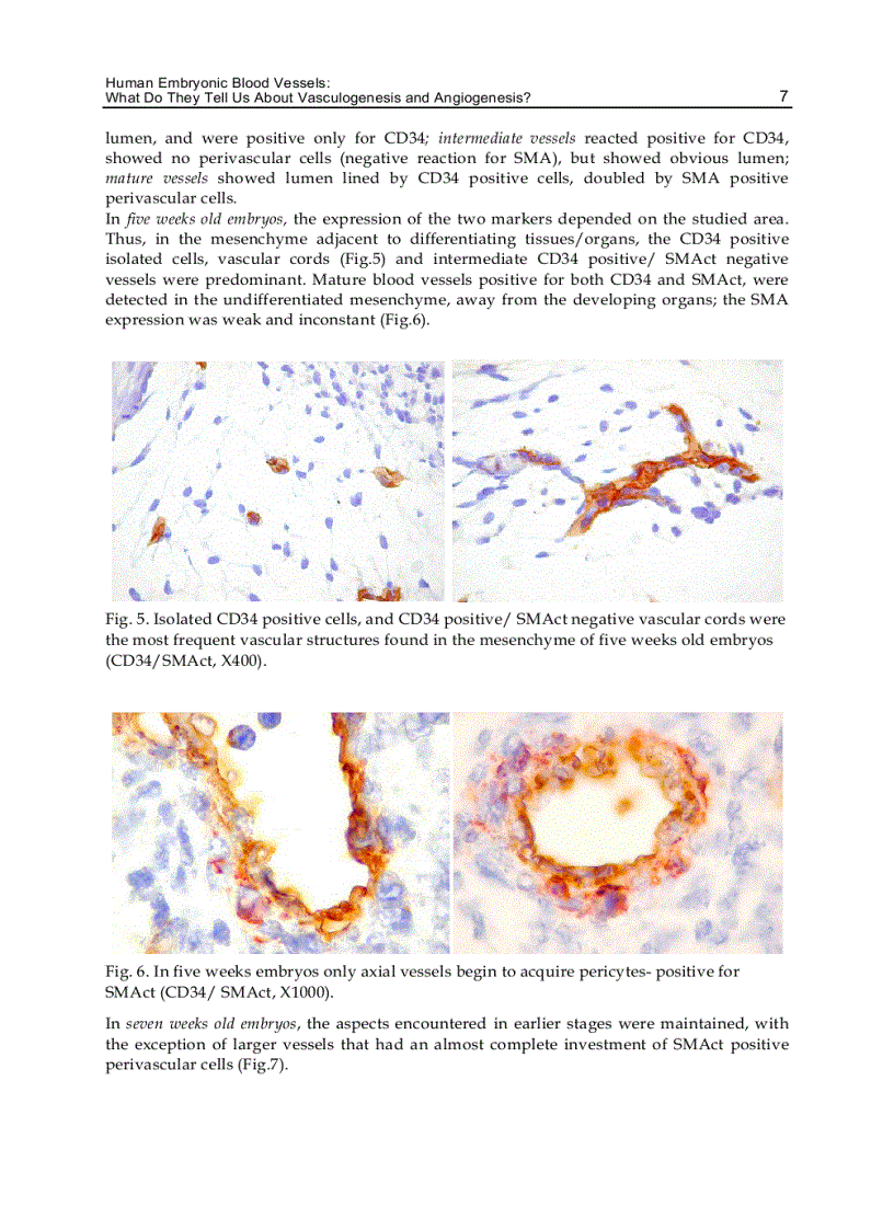 image for page Vasculogenesis and Angiogenesis from Embryonic Development to Regenerative Medicine