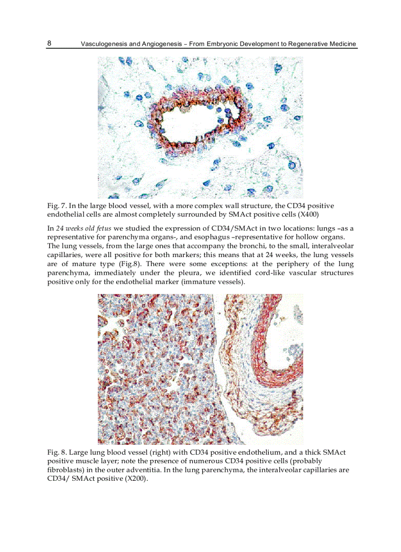 image for page Vasculogenesis and Angiogenesis from Embryonic Development to Regenerative Medicine