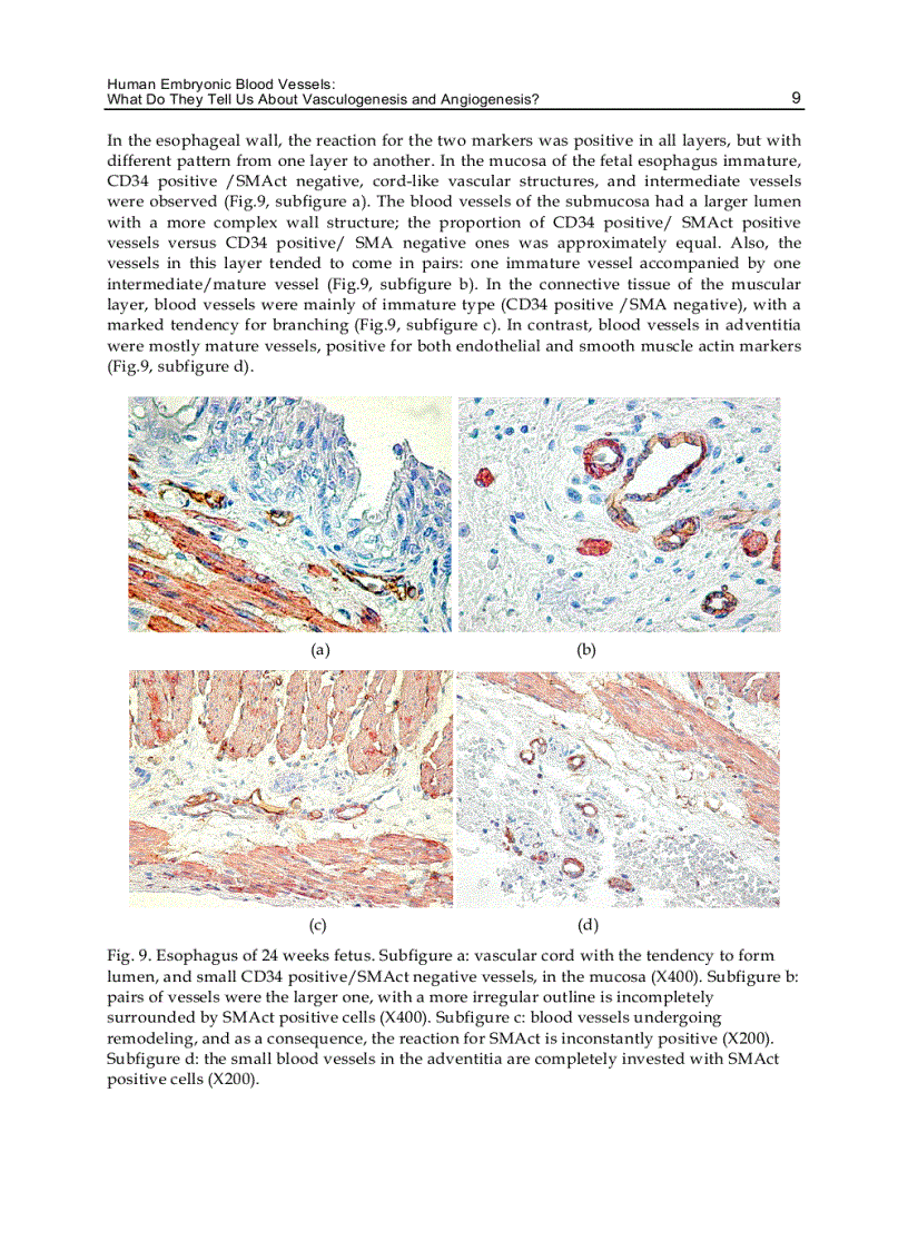 image for page Vasculogenesis and Angiogenesis from Embryonic Development to Regenerative Medicine