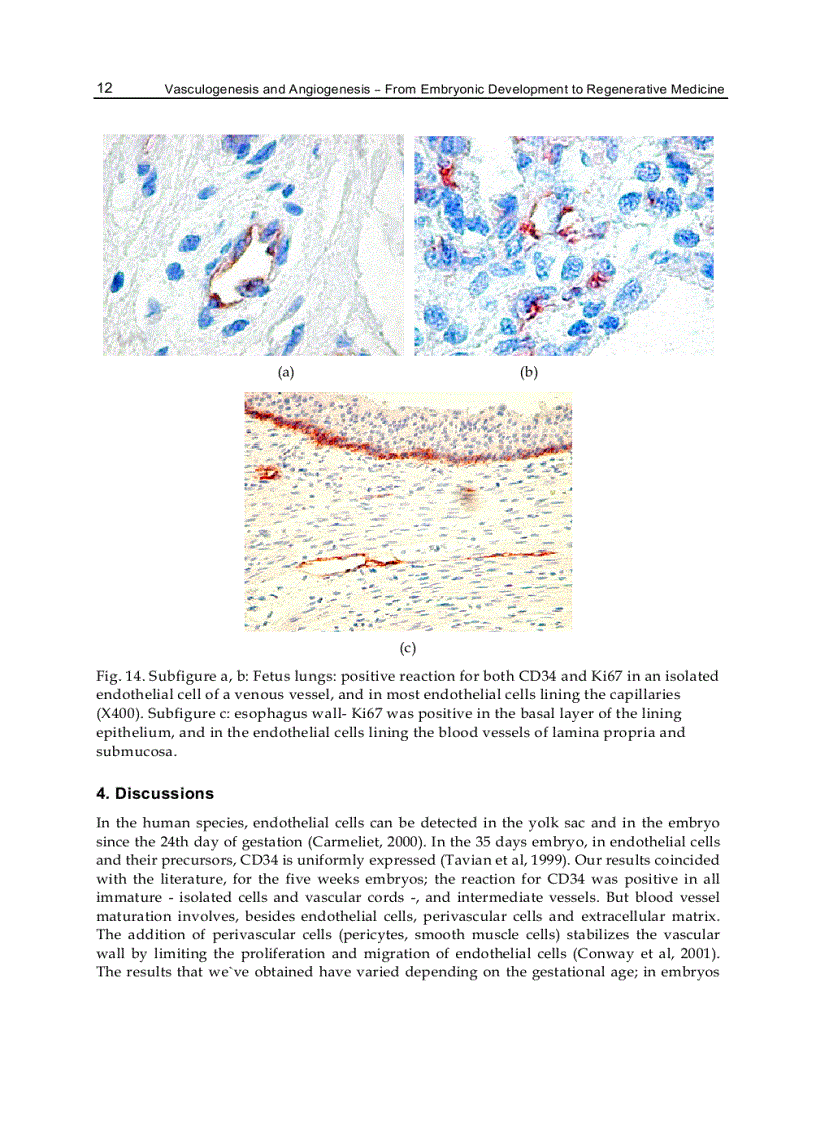 image for page Vasculogenesis and Angiogenesis from Embryonic Development to Regenerative Medicine