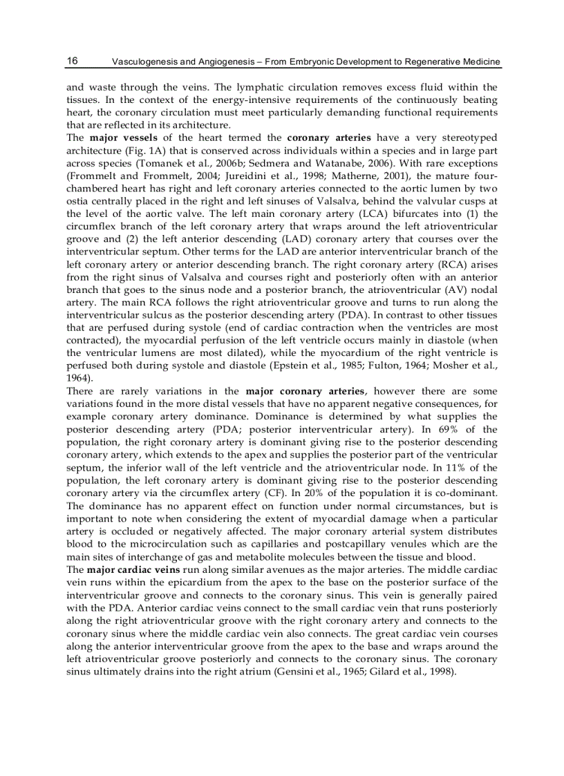 image for page Vasculogenesis and Angiogenesis from Embryonic Development to Regenerative Medicine