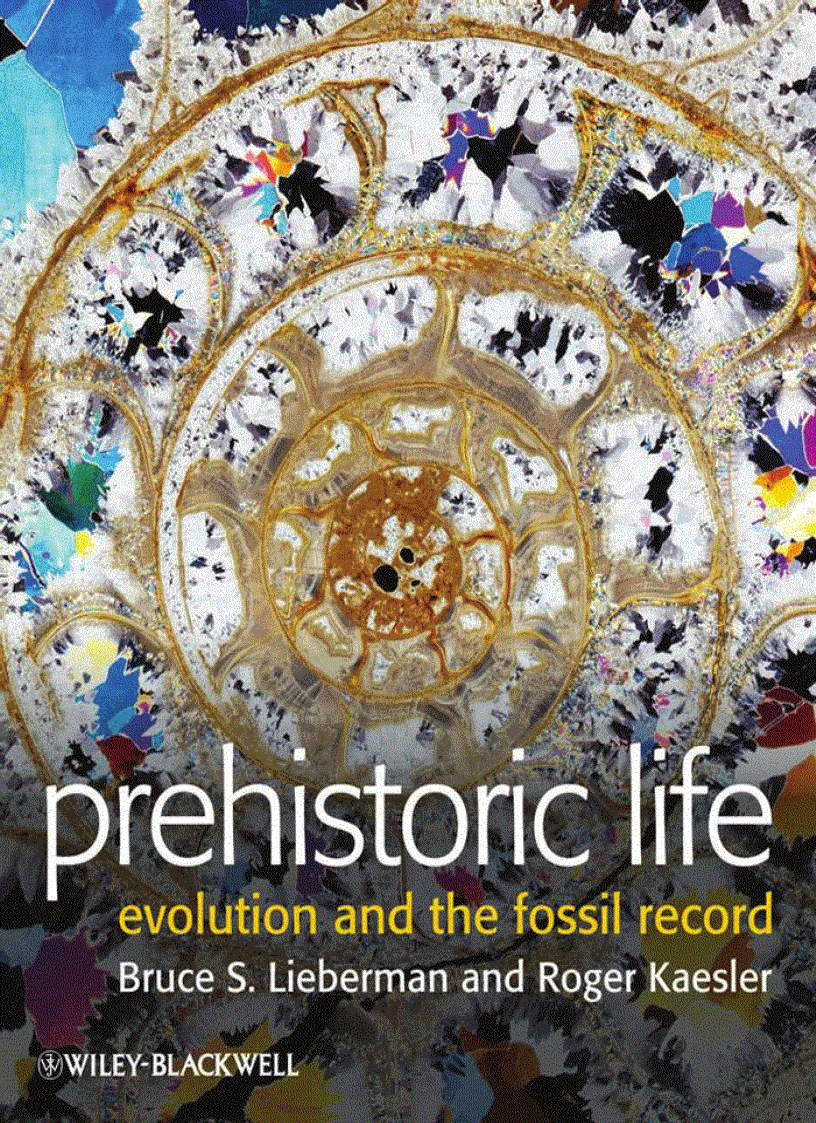 image for page Prehistoric Life Evolution and the Fossil Record