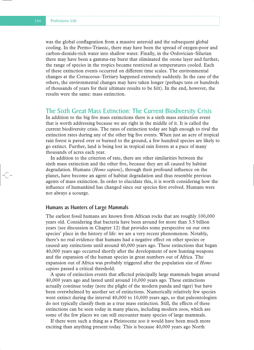 image for page Prehistoric Life Evolution and the Fossil Record