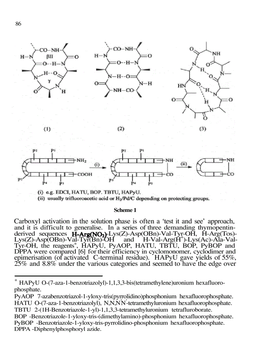 image for page Cyclic Polymers 2nd Edition
