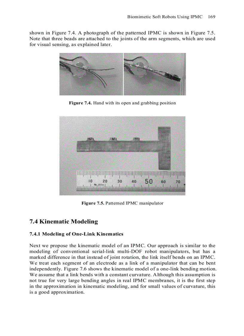 image for page Electroactive Polymers for Robotic Applications
