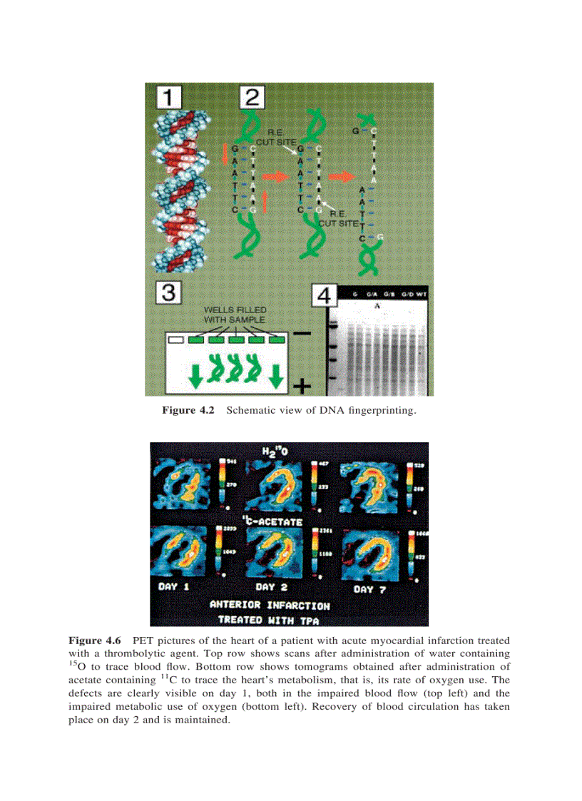image for page Modern Nuclear Chemistry 1st Edition