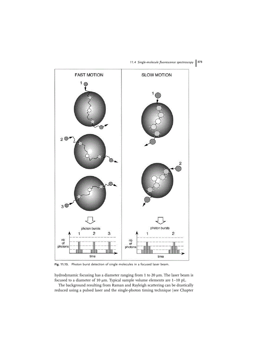 image for page Molecular Fluorescence Principles and Applications
