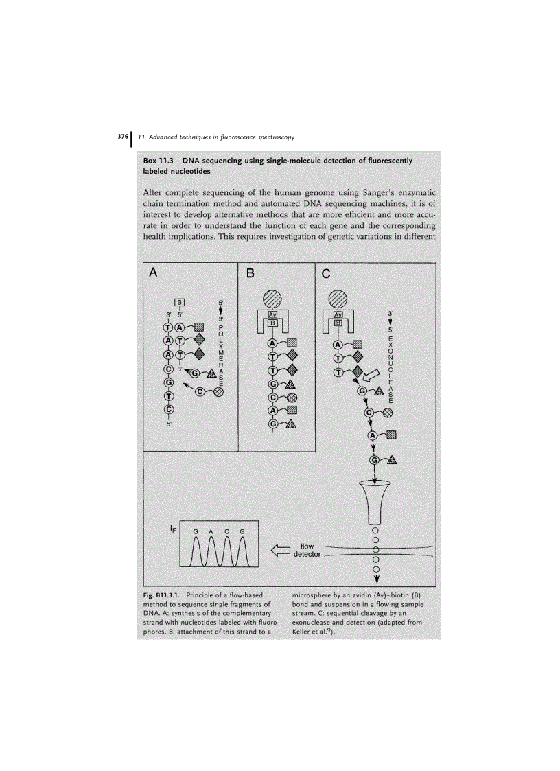 image for page Molecular Fluorescence Principles and Applications