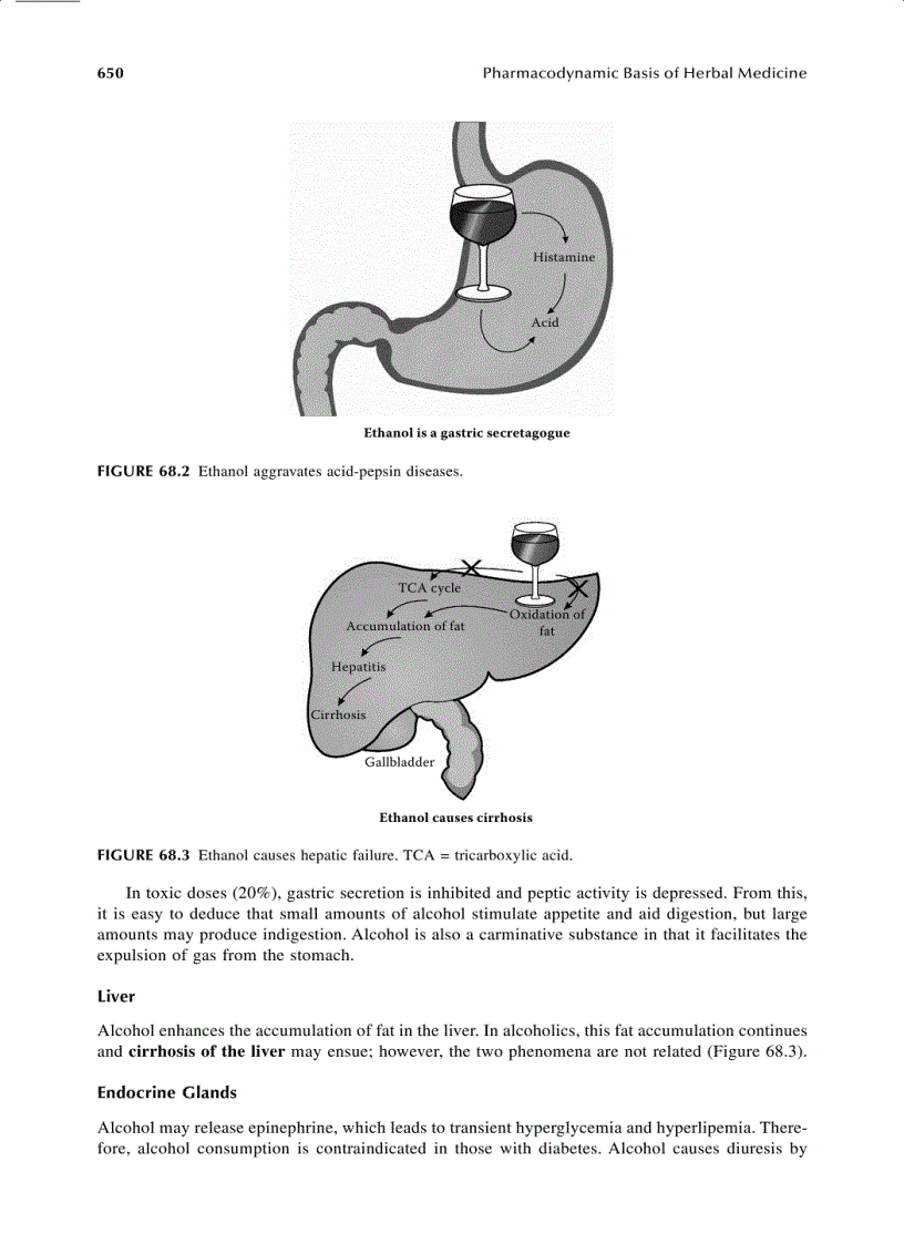 image for page Pharmacodynamic Basis of Herbal Medicine 2nd Edition