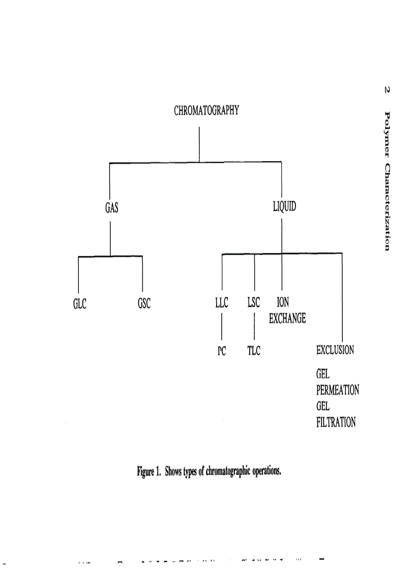 image for page Polymer Characterization