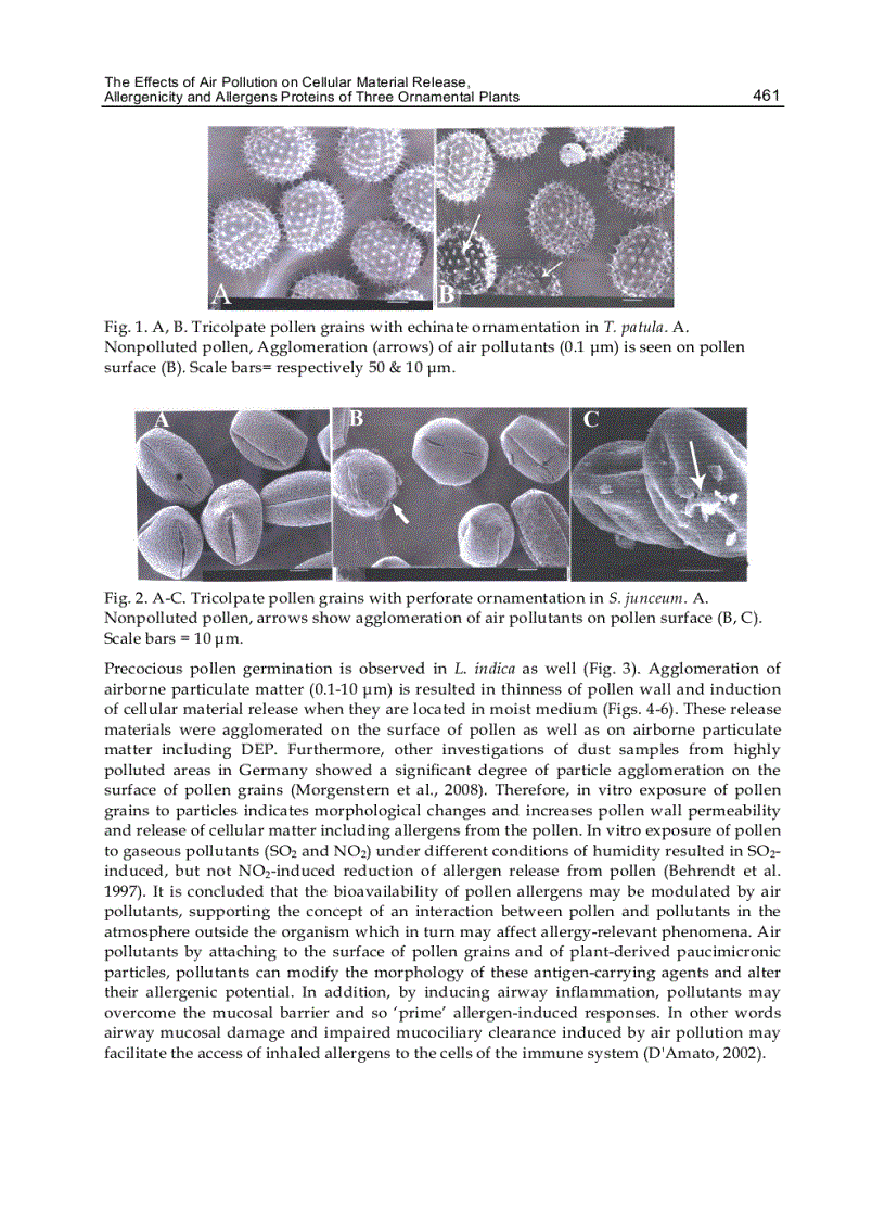 image for page Advanced Topics in Environmental Health and Air Pollution Case Studies