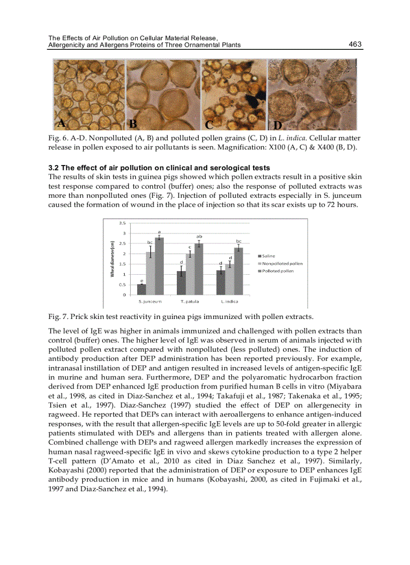 image for page Advanced Topics in Environmental Health and Air Pollution Case Studies