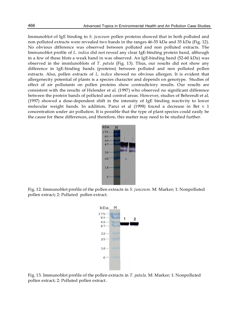 image for page Advanced Topics in Environmental Health and Air Pollution Case Studies
