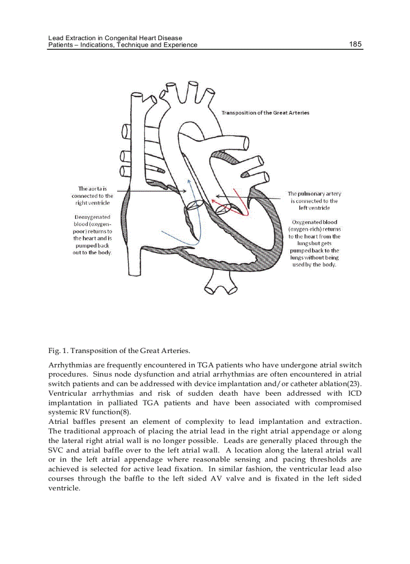 image for page Cardiac Pacemakers Biological Aspects
