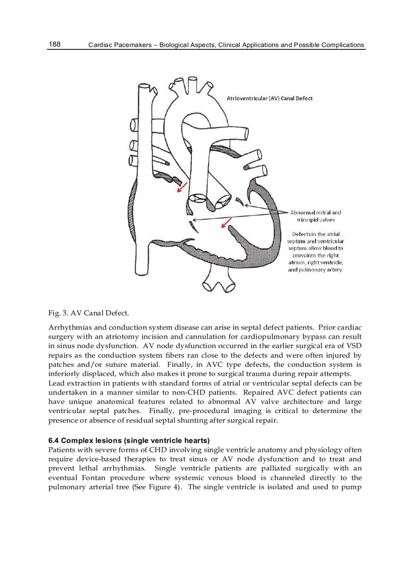 image for page Cardiac Pacemakers Biological Aspects