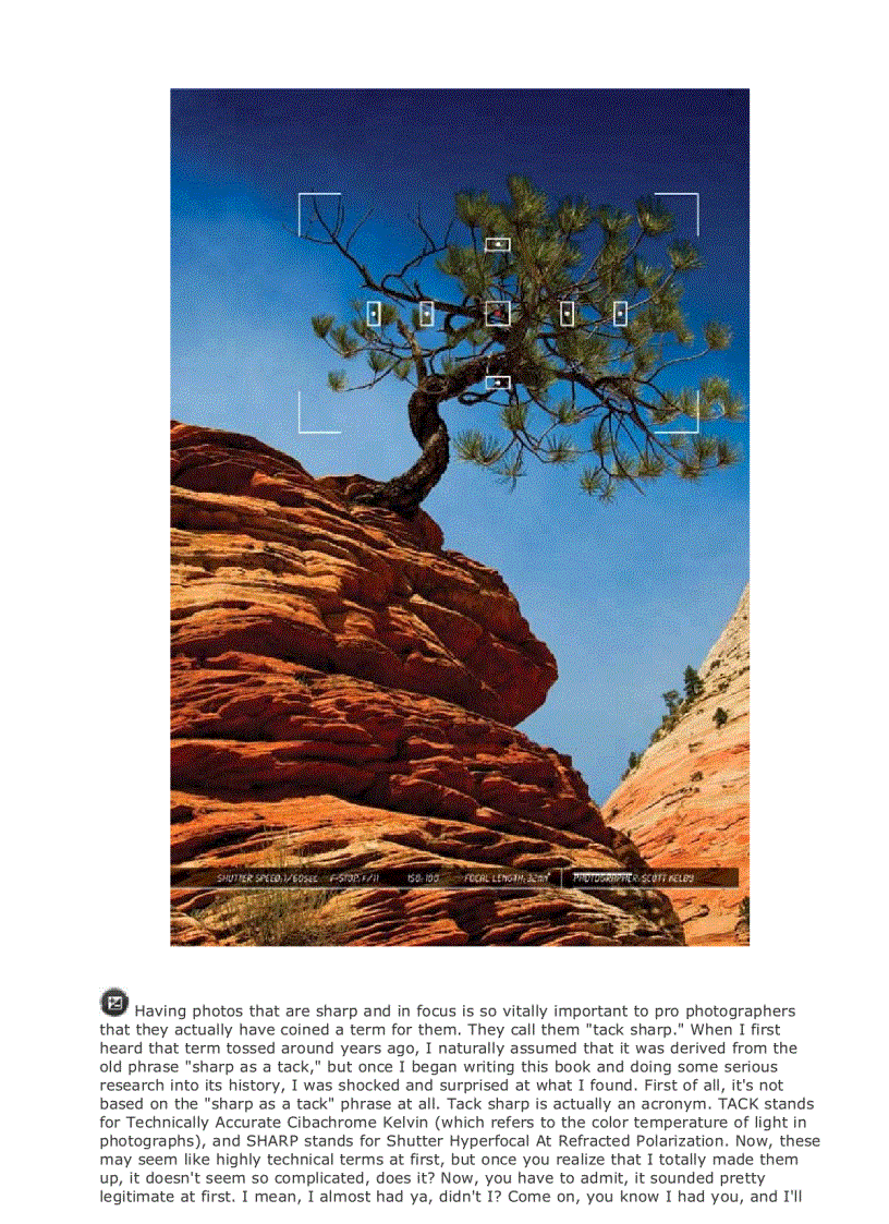 image for page Digital Photography Book Volume 1