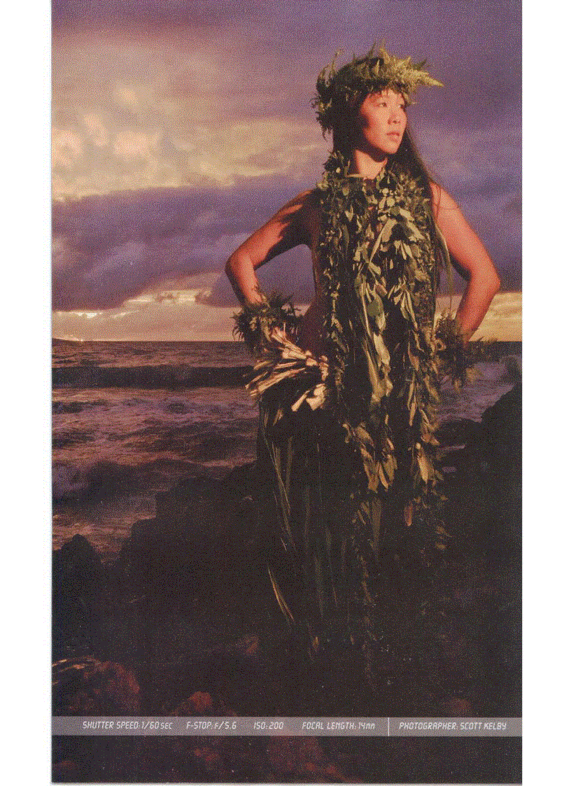 image for page Digital Photography Book Volumn 2