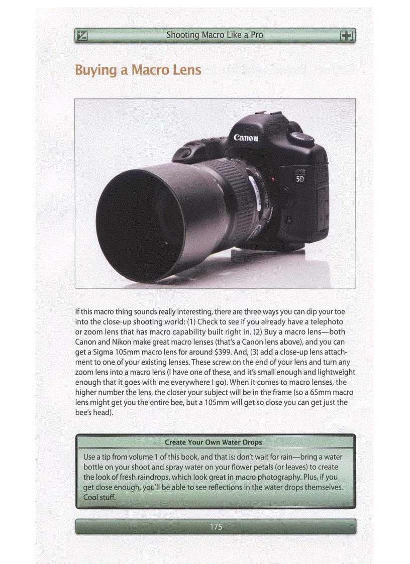 image for page Digital Photography Book Volumn 2