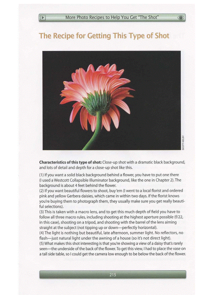 image for page Digital Photography Book Volumn 2