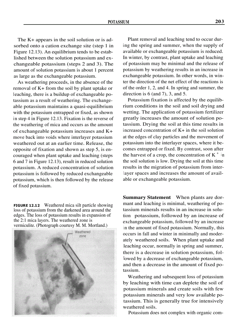 image for page Fundamentals of Soil Science 8th Edition