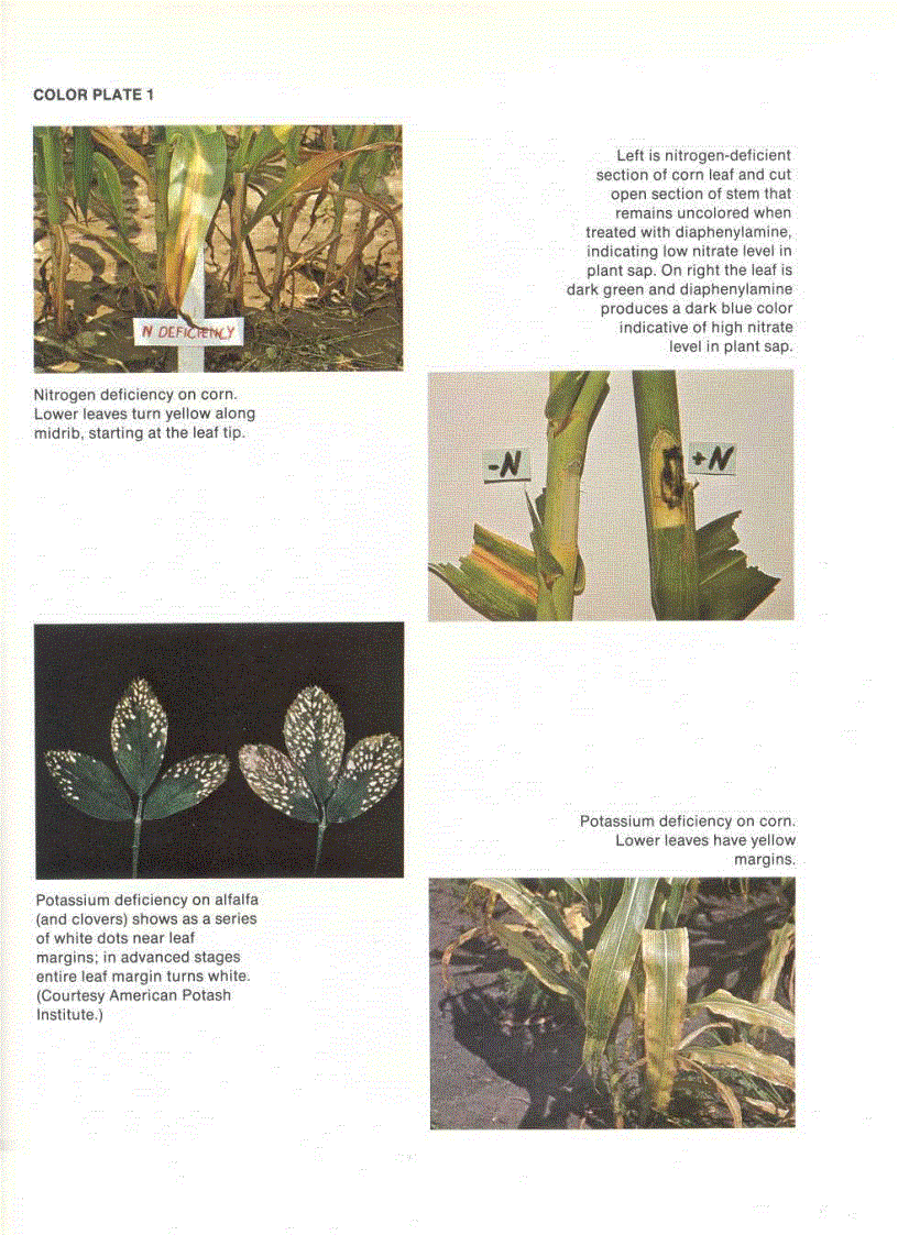 image for page Fundamentals of Soil Science 8th Edition