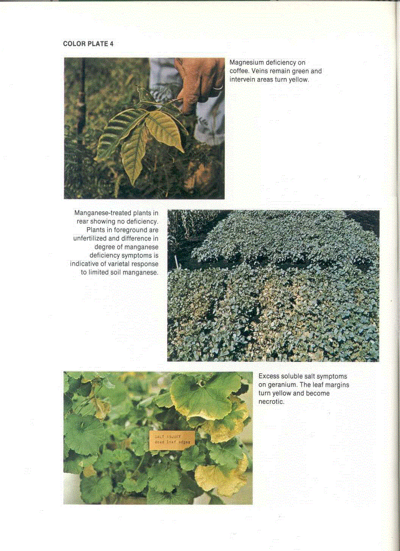 image for page Fundamentals of Soil Science 8th Edition