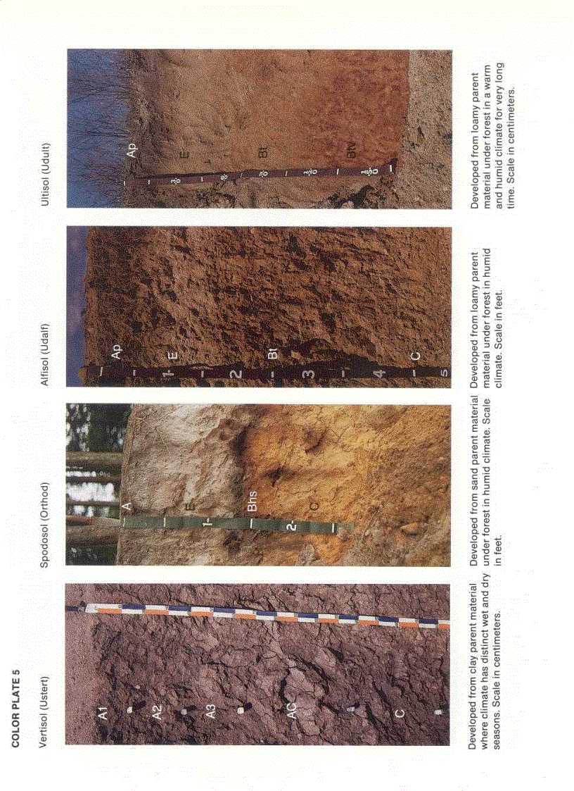 image for page Fundamentals of Soil Science 8th Edition