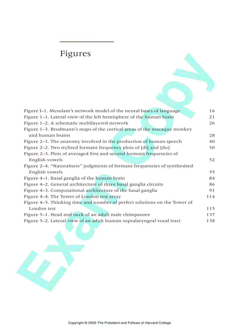 image for page Human Language and Our Reptilian Brain