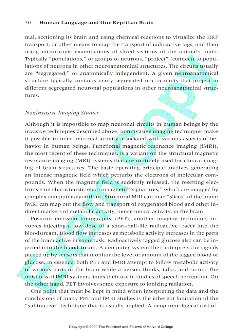 image for page Human Language and Our Reptilian Brain