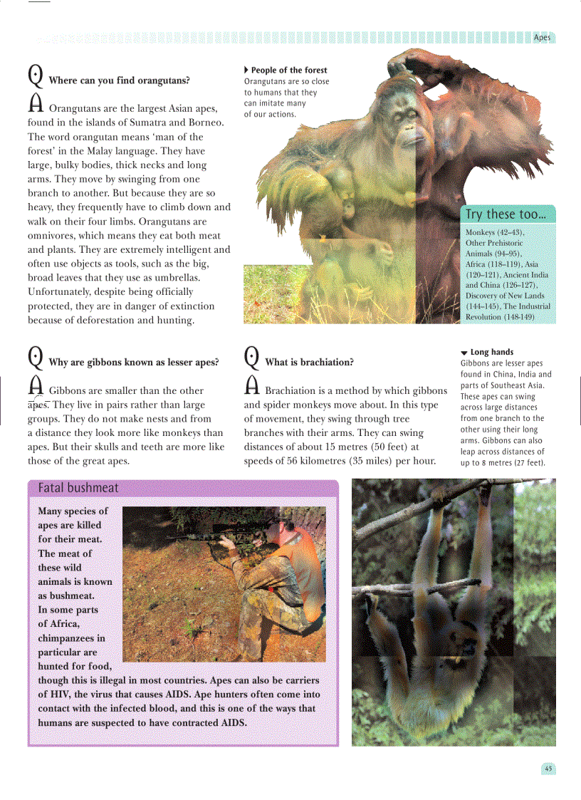 image for page The Great Book of Questions and Answers