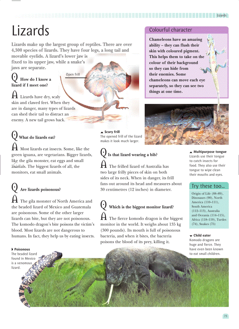 image for page The Great Book of Questions and Answers