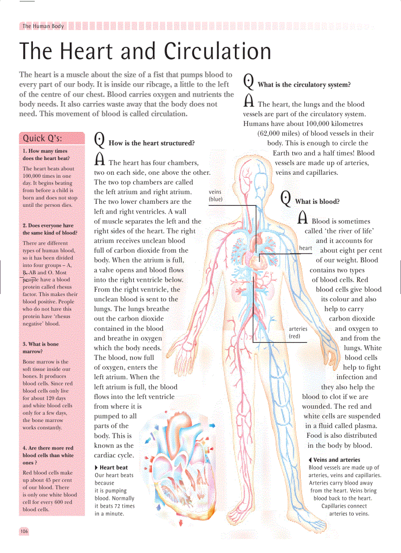 image for page The Great Book of Questions and Answers