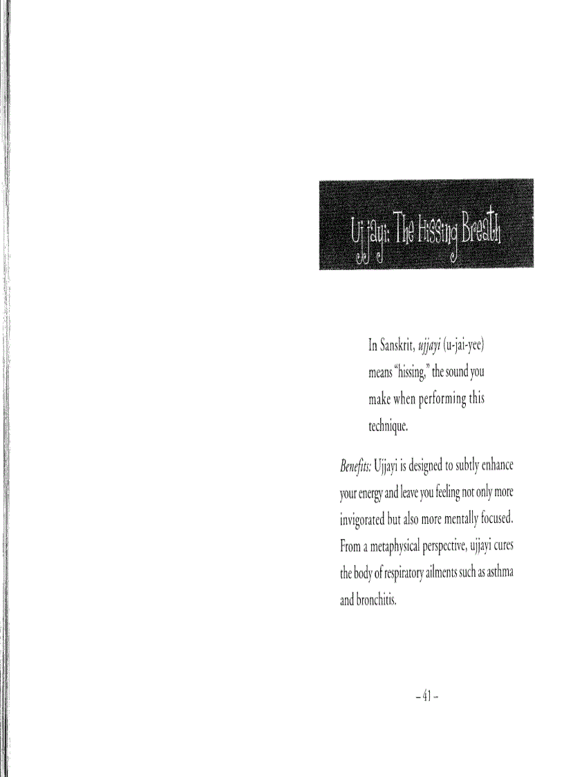 image for page The Little Book of Yoga Breathing Pranayama Made Eas