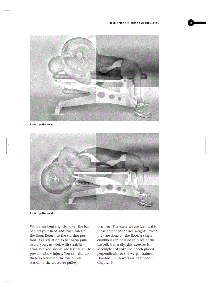 image for page Weight Training Basics 1st Edition