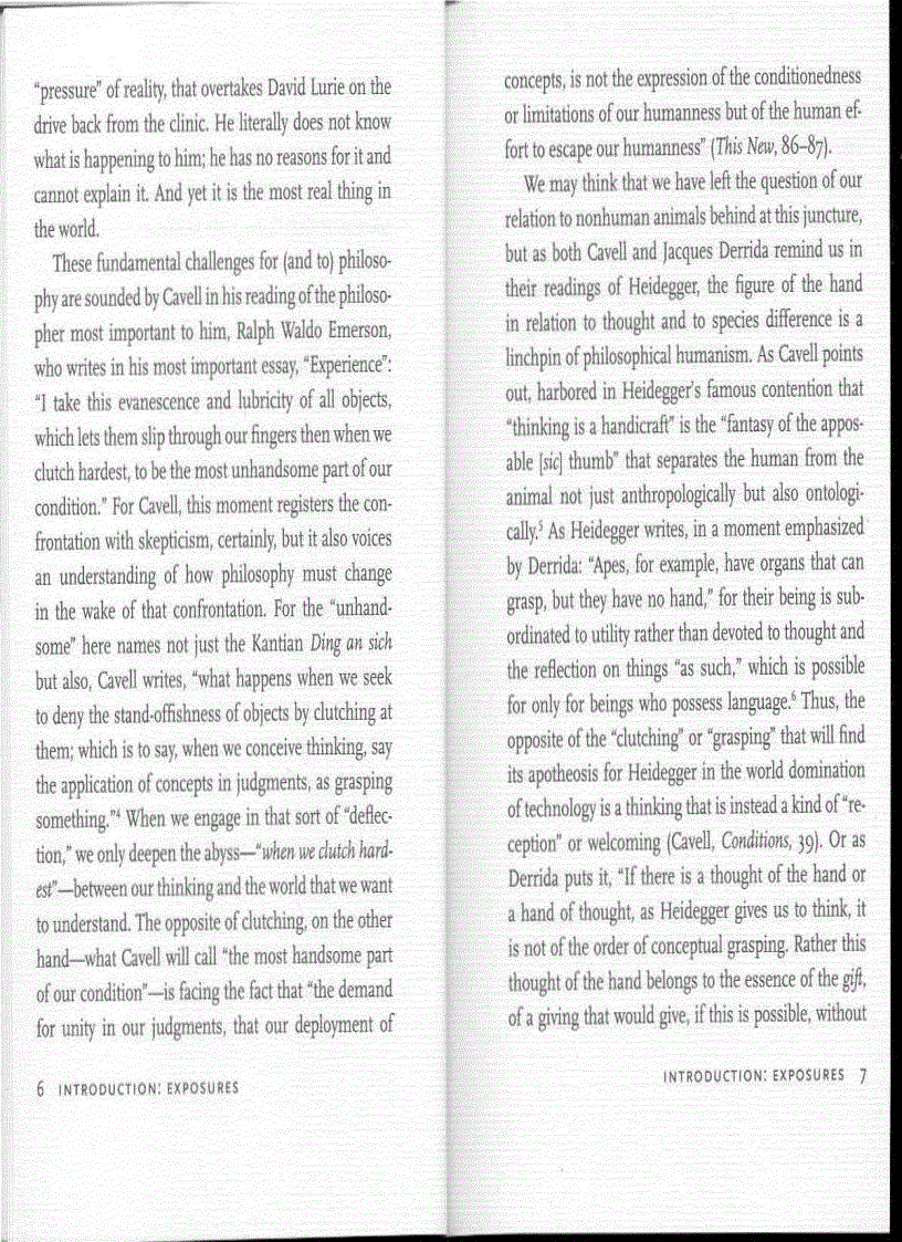 image for page Philosophy and Animal Life