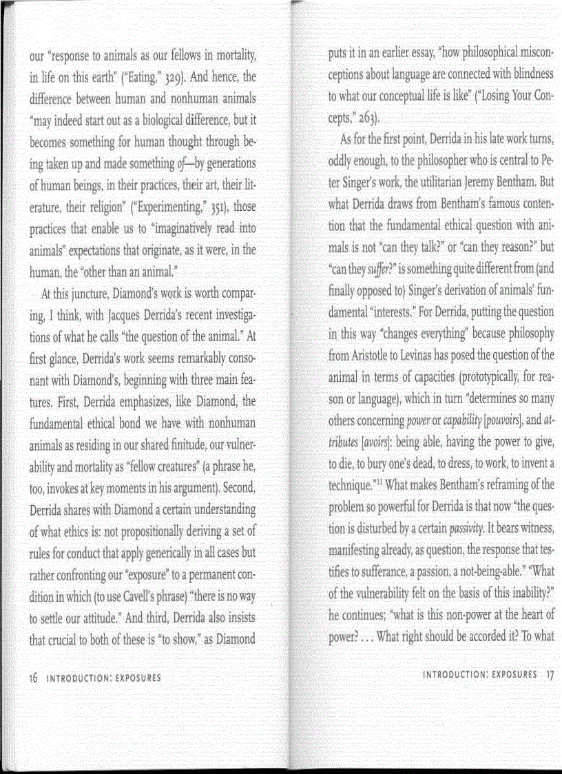 image for page Philosophy and Animal Life