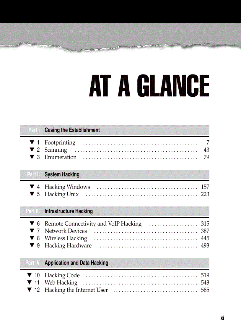 image for page Hacking Exposed 6 Network Security Secrets and Solutions