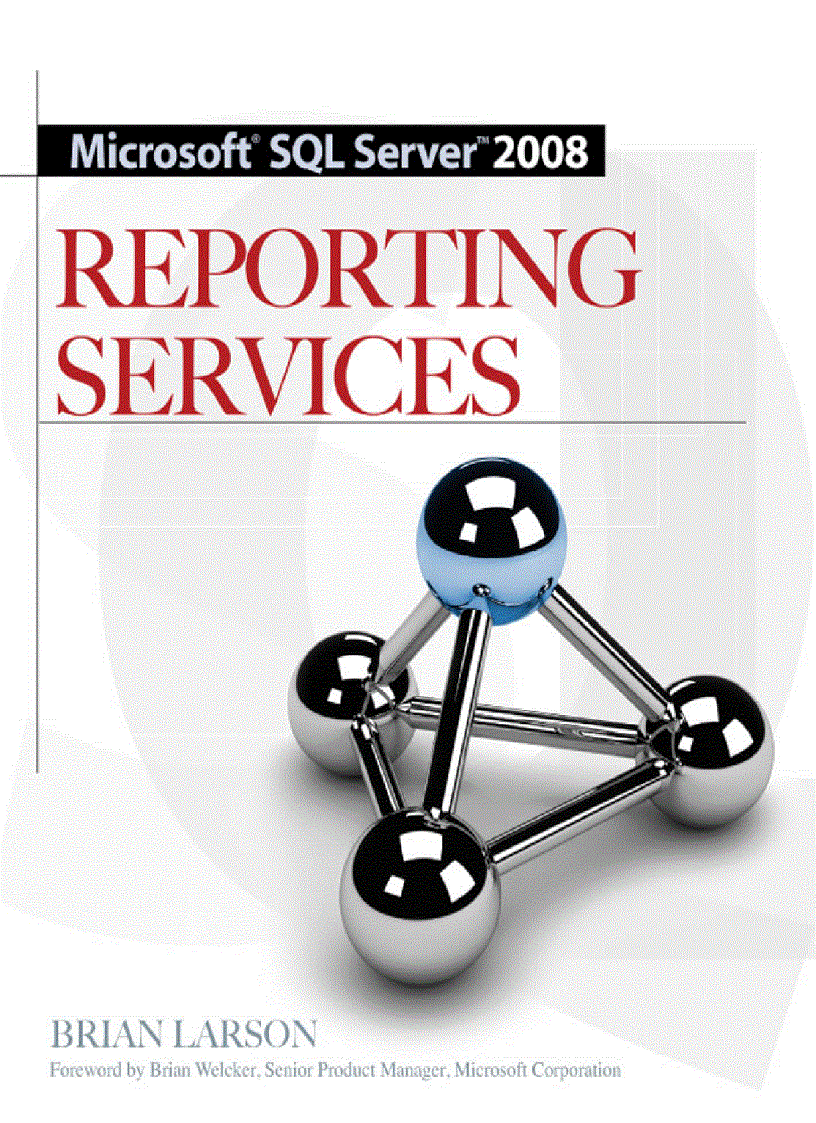 image for page Media Microsoft SQL Server 2008 Reporting Services Aug 2008