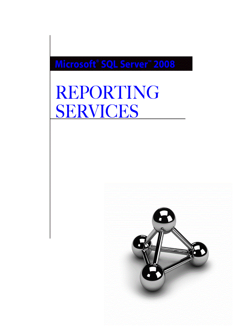 image for page Media Microsoft SQL Server 2008 Reporting Services Aug 2008
