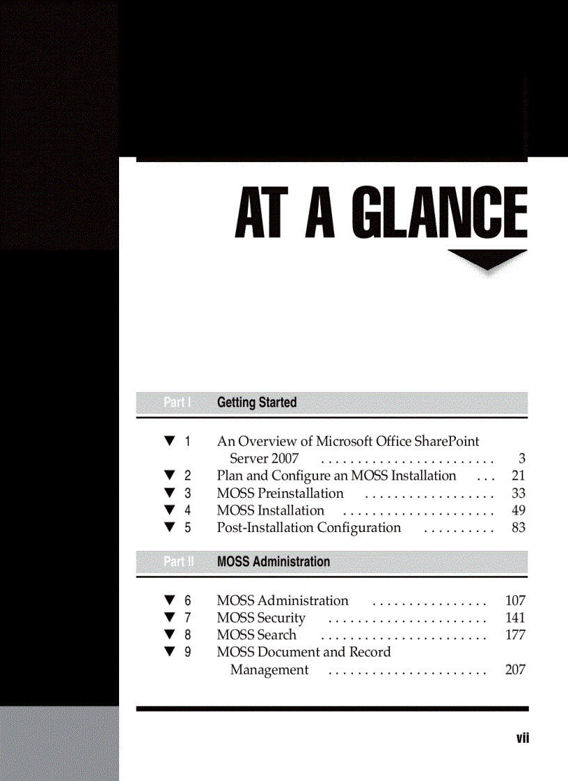 image for page Microsoft Office SharePoint Server 2007 A Beginners Guide Sep 2007