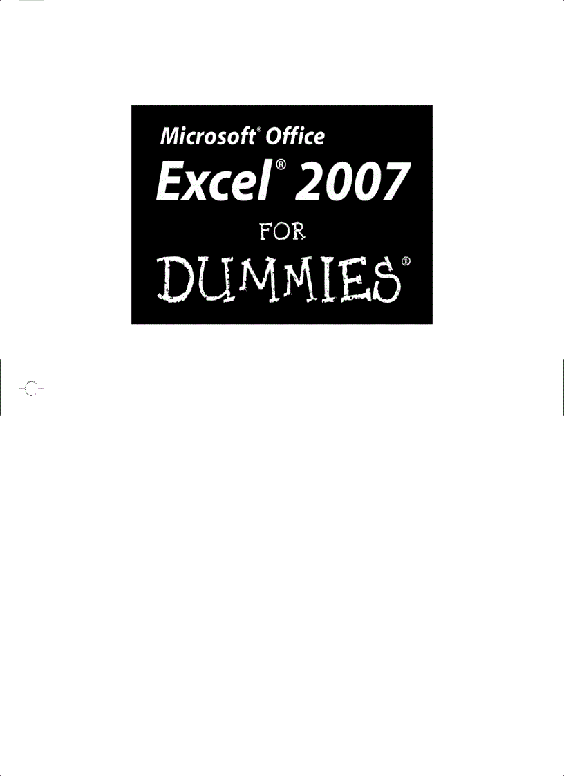 image for page Mircosoft Office Excel 2007 For Dummies