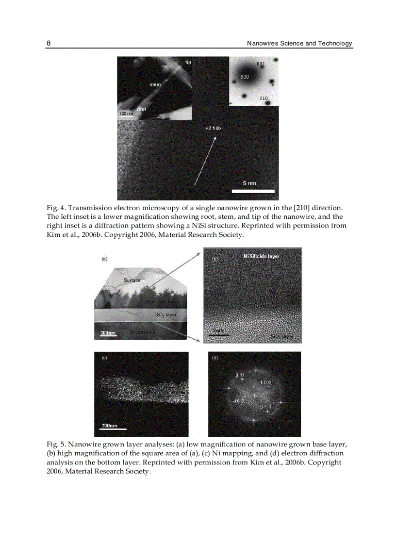 image for page Nanowires Science and Technology