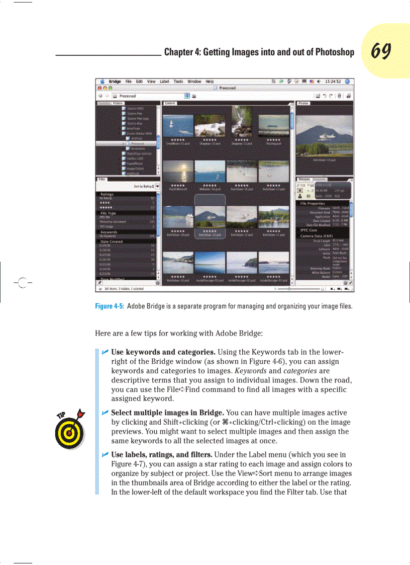 image for page Photoshop CS3 For Dummies