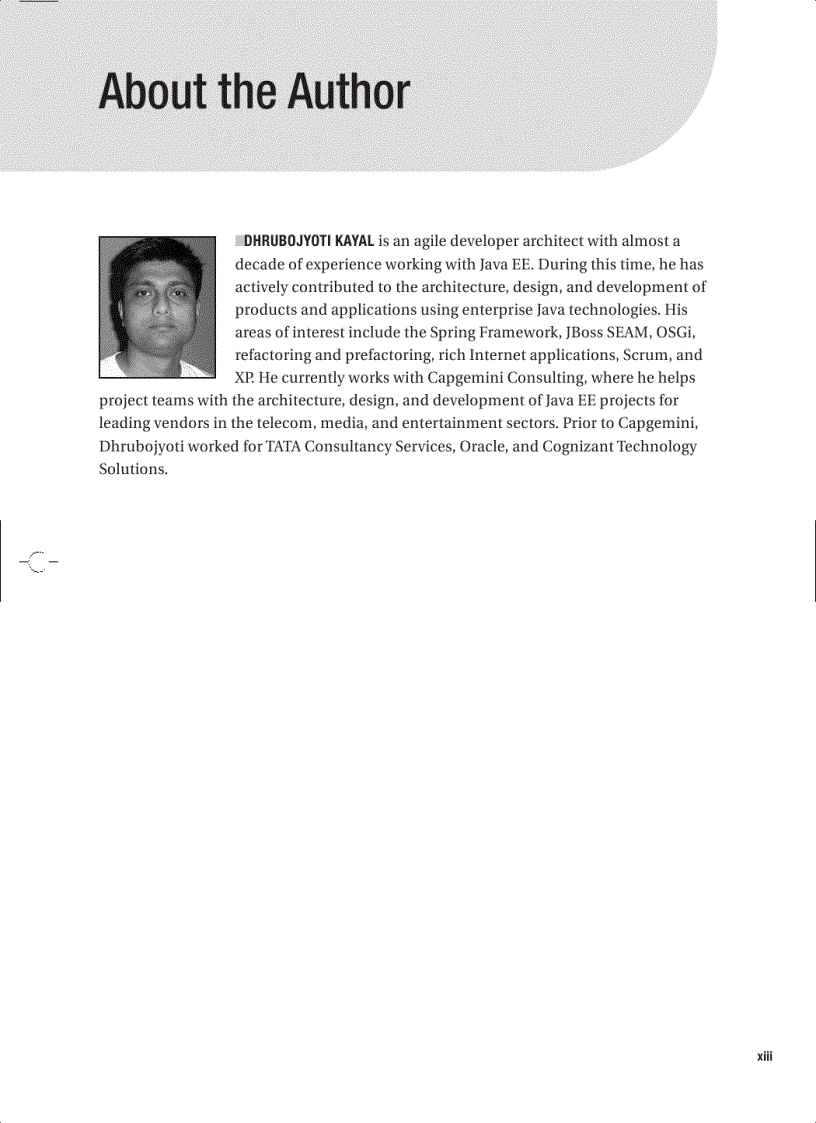 image for page Pro Java Ee Spring Patterns