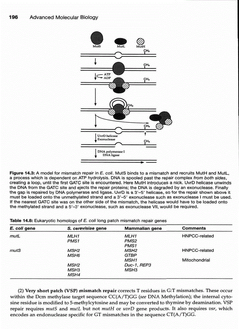 image for page Advanced Molecular Biology